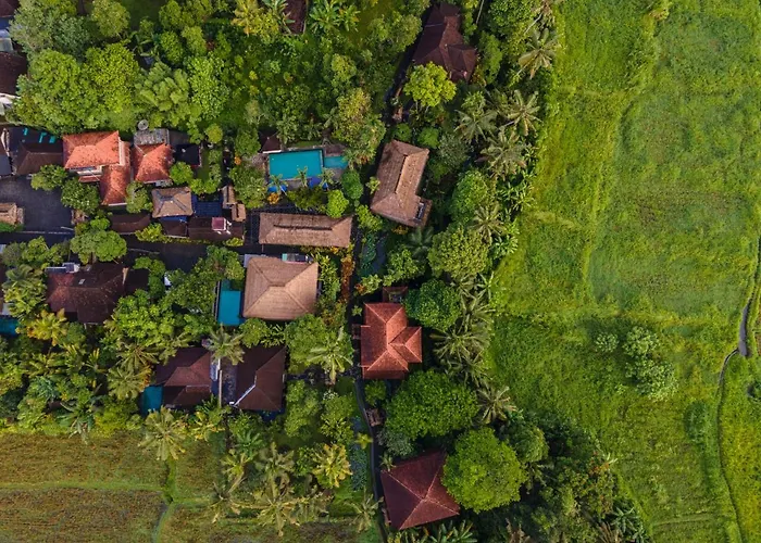 Alam Jiwa 4* Ubud (Bali)
